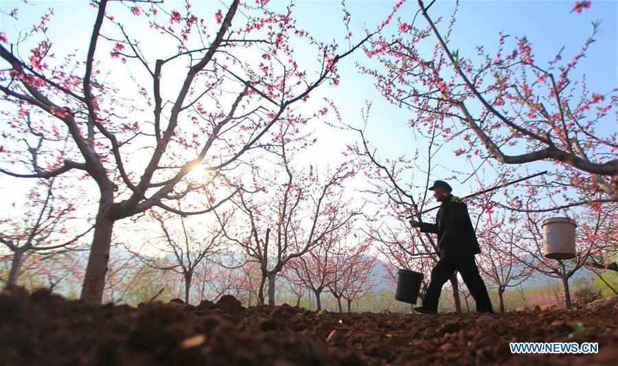 #CHINA-SPRING-FARMING (CN)