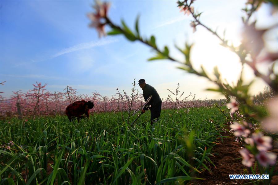 #CHINA-SPRING-FARMING (CN)