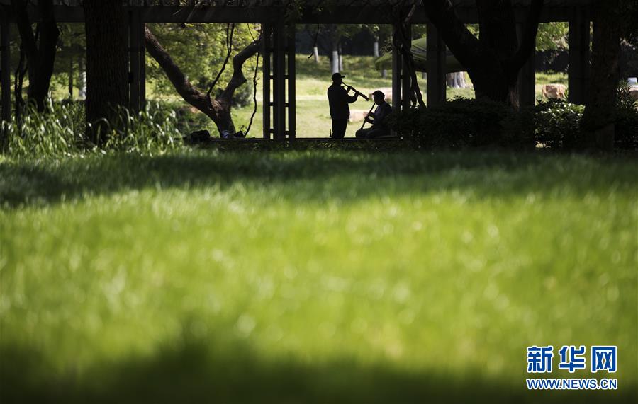 (聚焦疫情防控)(1)武汉又闻悠扬乐曲声