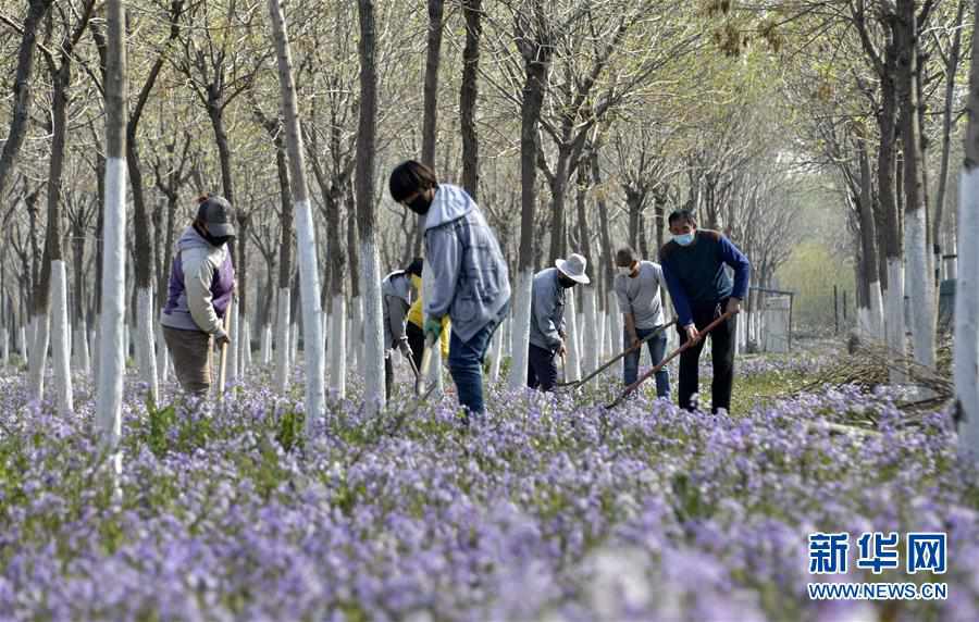 ����������5��������ƽԭ������������