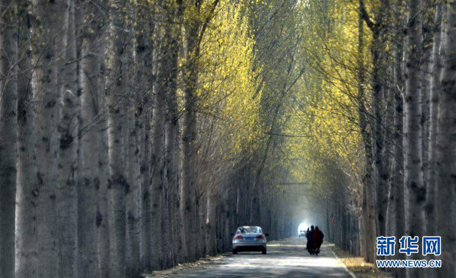 ����������6��������ƽԭ������������