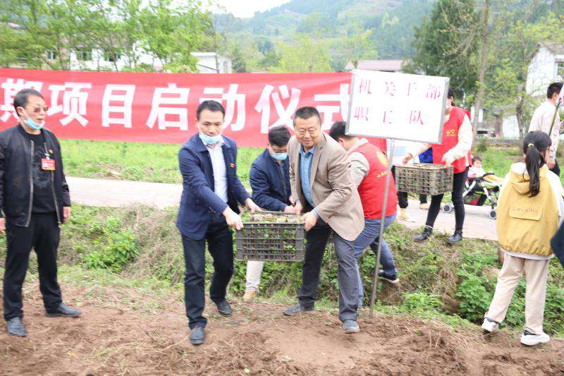 9537ca3658b91a04a98381373147f82