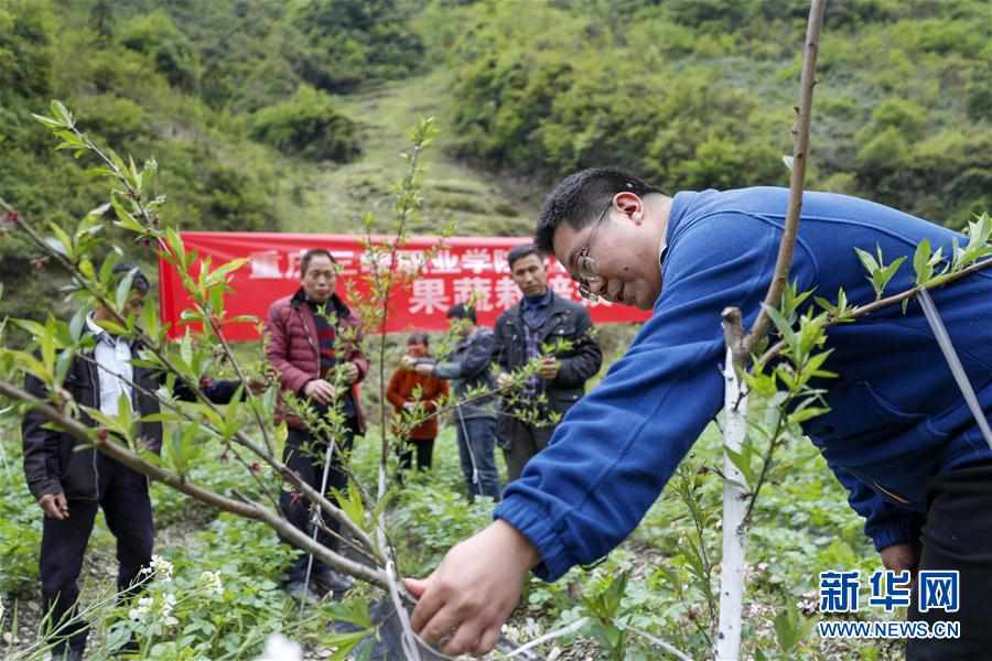 ����ƶ���ᣩ��7��������Ϫ��ѧ֪ʶ ����ƶ