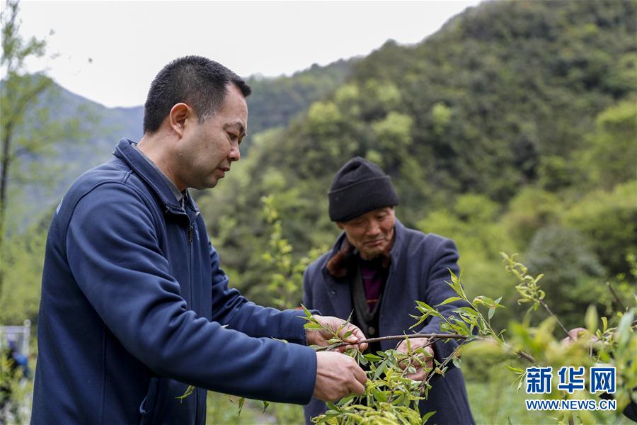 ����ƶ���ᣩ��3��������Ϫ��ѧ֪ʶ ����ƶ