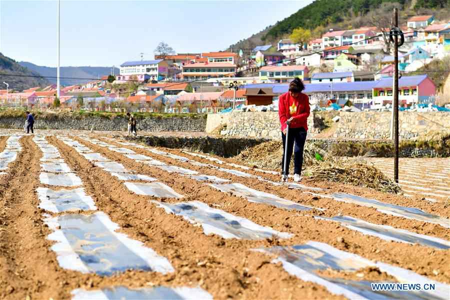 CHINA-SHANXI-TAIHANG MOUNTAIN REGION-POVERTY RELIEF (CN)