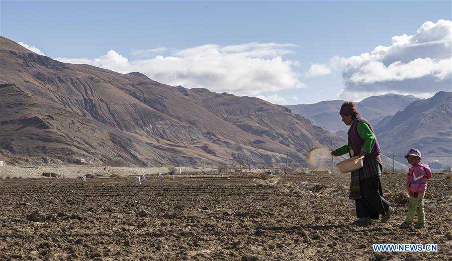 CHINA-TIBET-TINGRI-FARMING (CN)