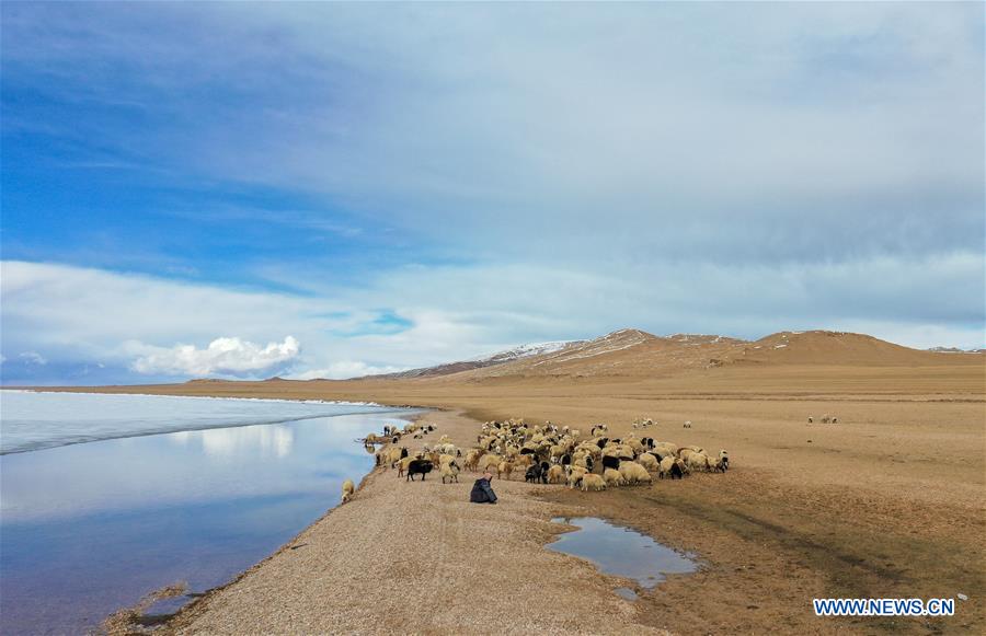 CHINA-TIBET-NAQU-SILING LAKE-SCENERY (CN)