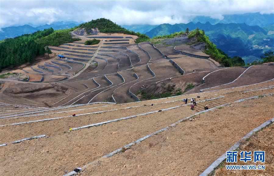 #（經濟）（1）湖北宣恩：土苗山鄉田園新景致