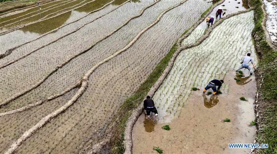 CHINA-SHAANXI-LANGAO-TERRACED FIELDS (CN)