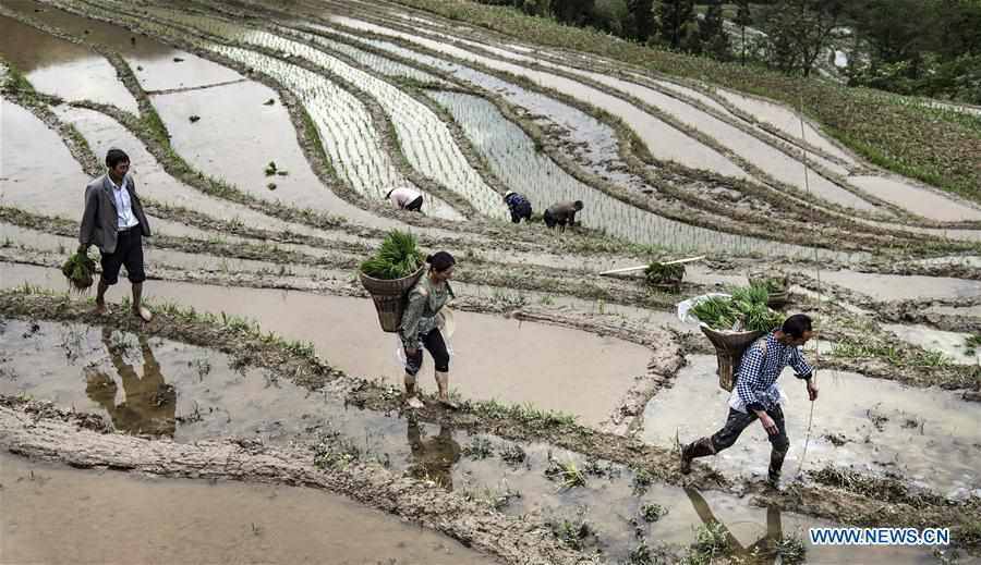 CHINA-SHAANXI-LANGAO-TERRACED FIELDS (CN)