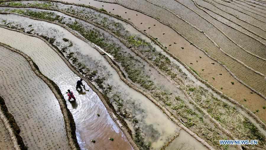 CHINA-SHAANXI-LANGAO-TERRACED FIELDS (CN)