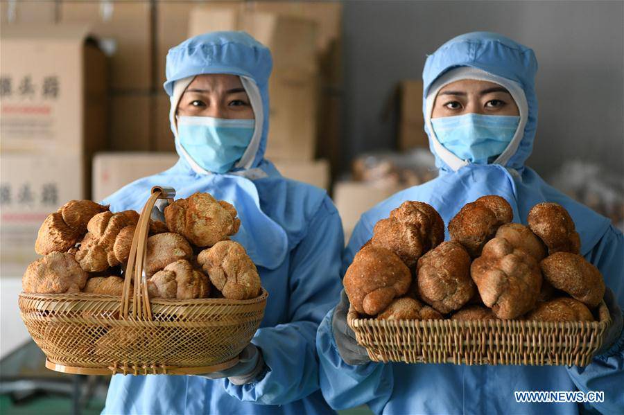 CHINA-HEILONGJIANG-HAILIN-MUSHROOM INDUSTRY (CN)