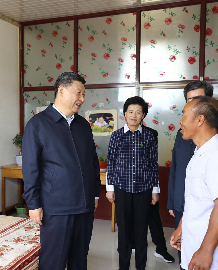 CHINA-NINGXIA-XI JINPING-INSPECTION (CN)