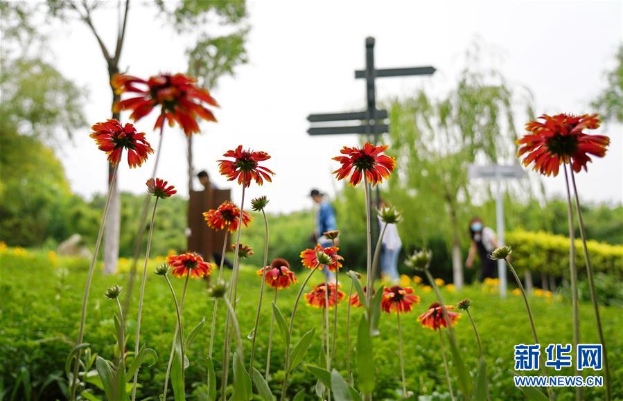 ����������6���ӱ���ɽ�����ա���̬���̡��������ա����ա�