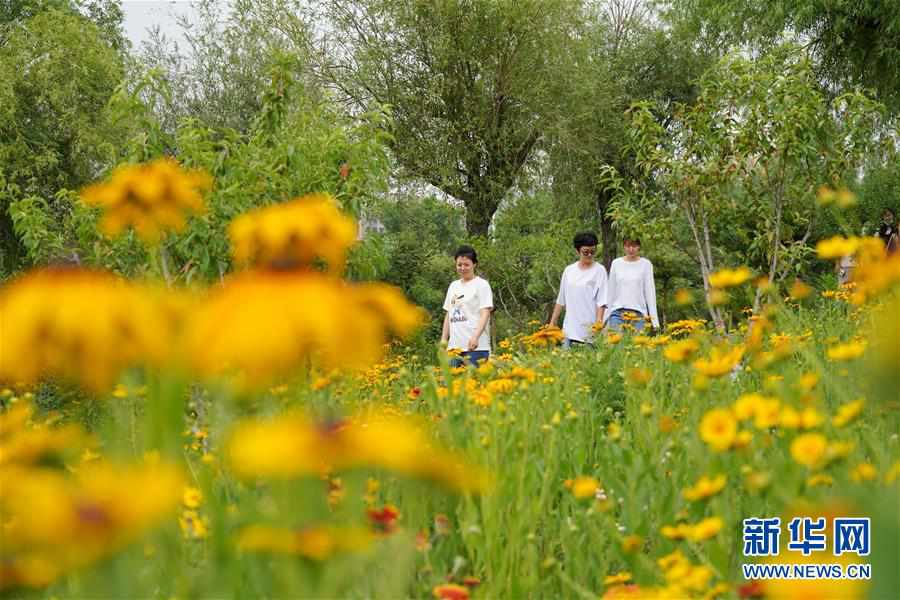 ����������5���ӱ���ɽ�����ա���̬���̡��������ա����ա�