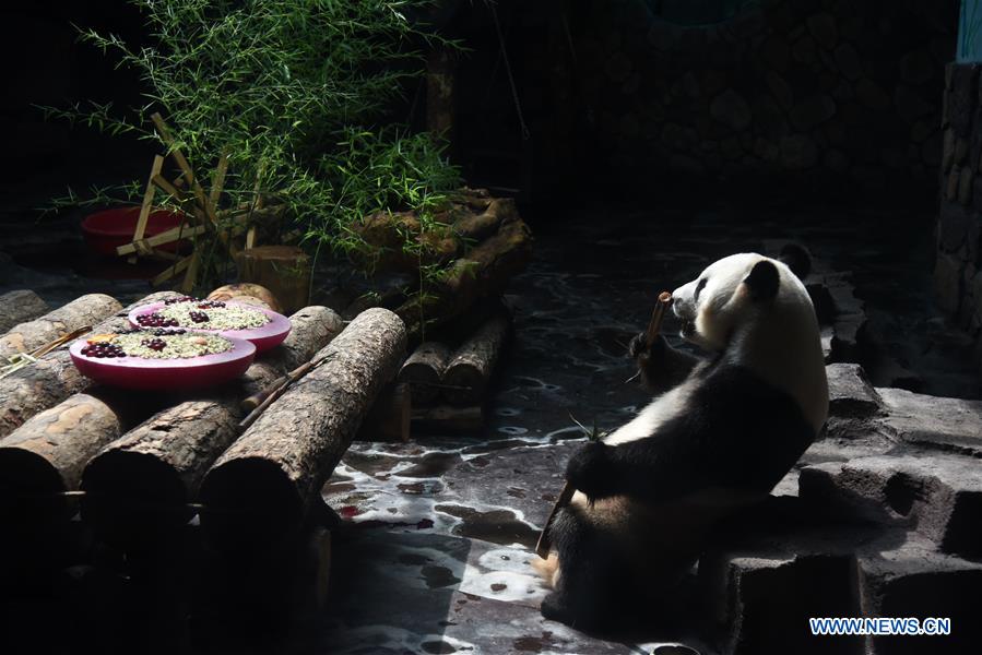 CHINA-SHANDONG-JINAN-GIANT PANDA-SUMMER (CN)