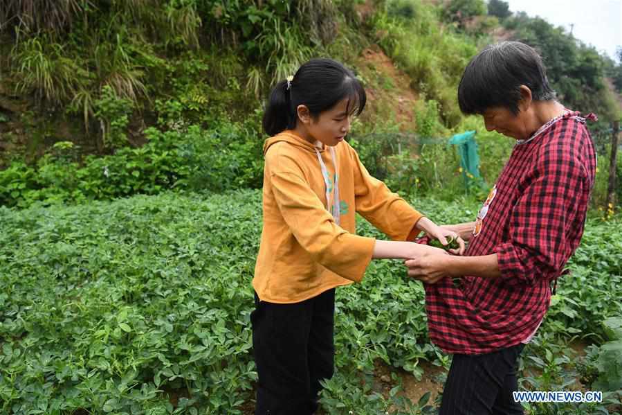 (POVERTY RELIEF ALBUM) CHINA-ANHUI-JINZHAI-YOUNG PATIENT-SCOLIOSIS-LIFE (CN)