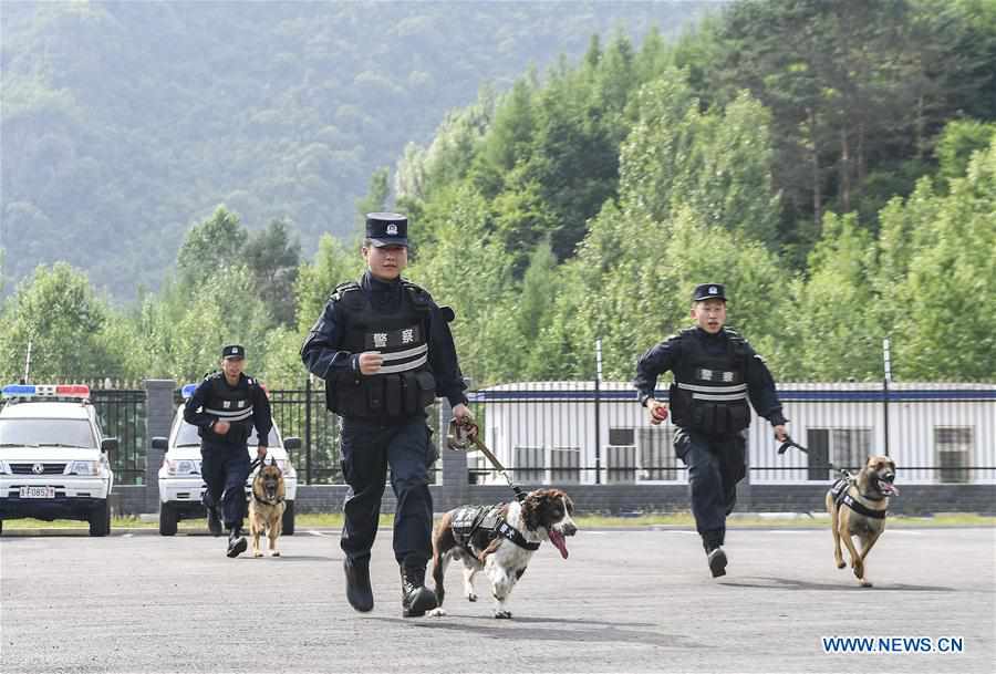 CHINA-JILIN-BAISHAN-BORDER-SNIFFER DOG (CN)