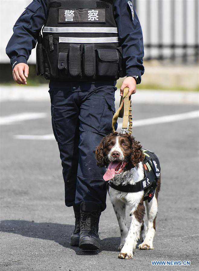 CHINA-JILIN-BAISHAN-BORDER-SNIFFER DOG (CN)