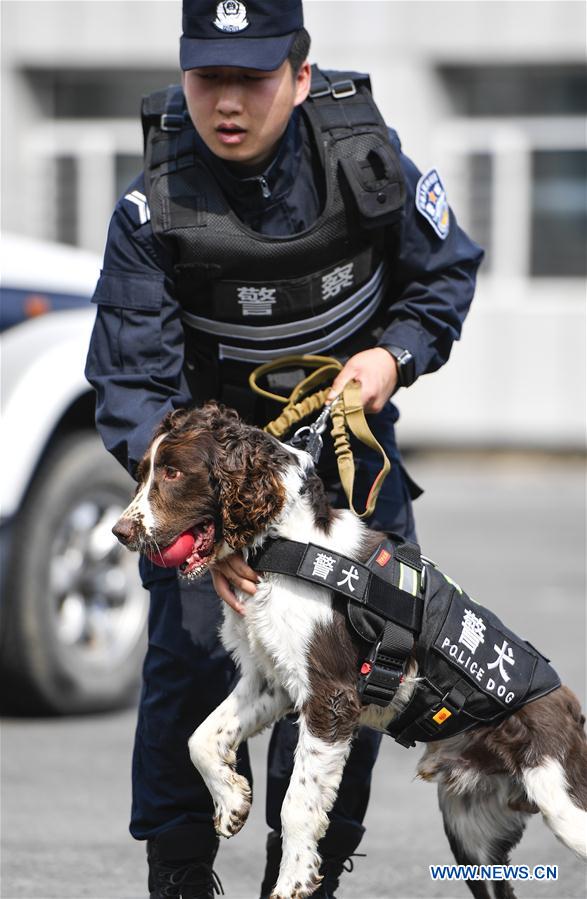 CHINA-JILIN-BAISHAN-BORDER-SNIFFER DOG (CN)