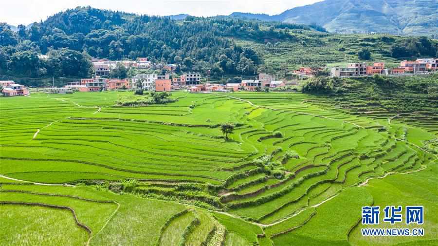 盘州市哪个医院可以打预防针 5583718083223934954.jpg