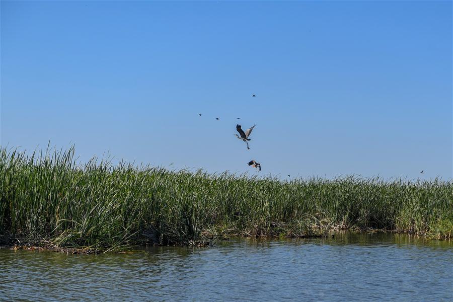 CHINA-JILIN-SONGYUAN-CHAGAN LAKE (CN)