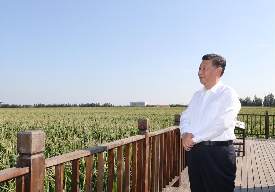 CHINA-JILIN-XI JINPING-INSPECTION (CN)