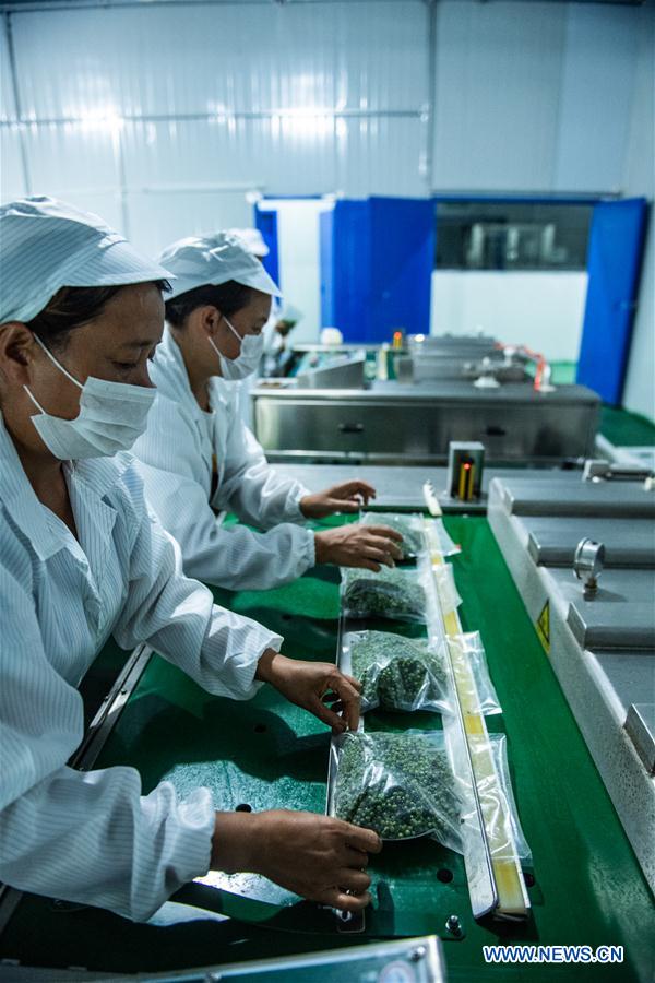 CHINA-GUIZHOU-TONGZI-SICHUAN PEPPER INDUSTRY (CN)