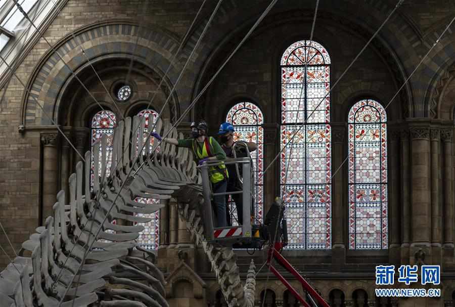 ���������飩��4��Ӣ����Ȼ��ʷ�����Ϊ�ؿ���׼��