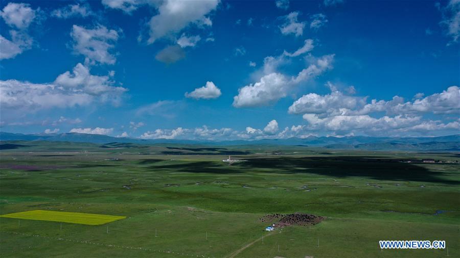 CHINA-QINGHAI-GRASSLANDS-SCENERY (CN)