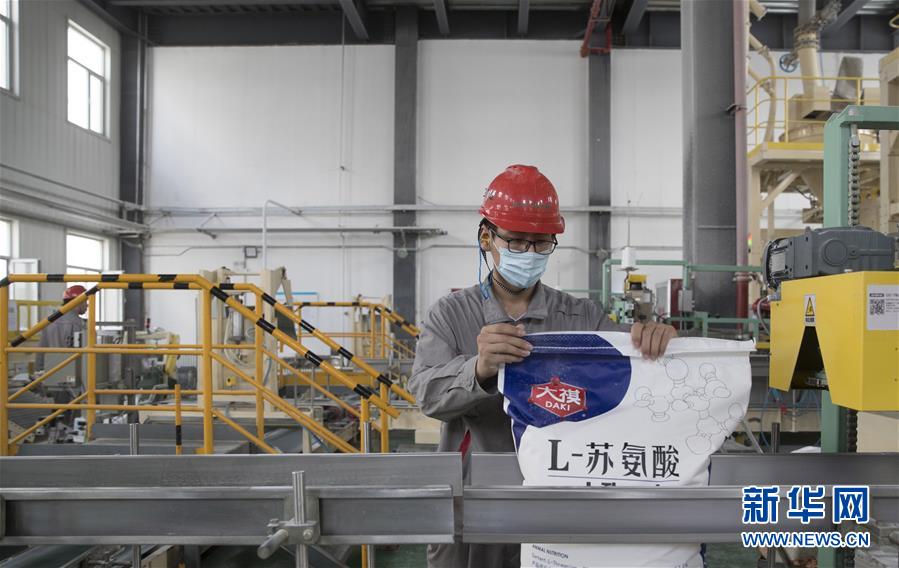 （经济）（3）黑龙江大庆：玉米深加工助力农民增收
