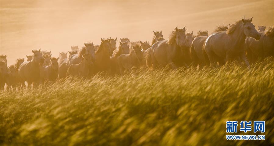 ����ᣩ��3��ʢ�Ĳ�ԭ ��������