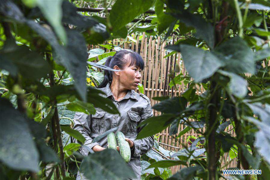 CHINA-GUANGXI-JINXIU-FOREST RANGERS (CN)