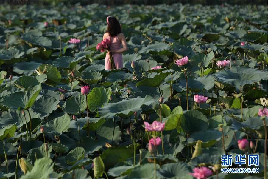 （國際·編輯連線）（4）夏日享清涼