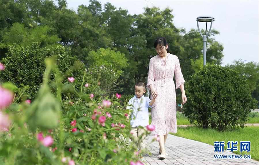 #����ᣩ��3���ӱ���̨�����ڴ���԰����������������