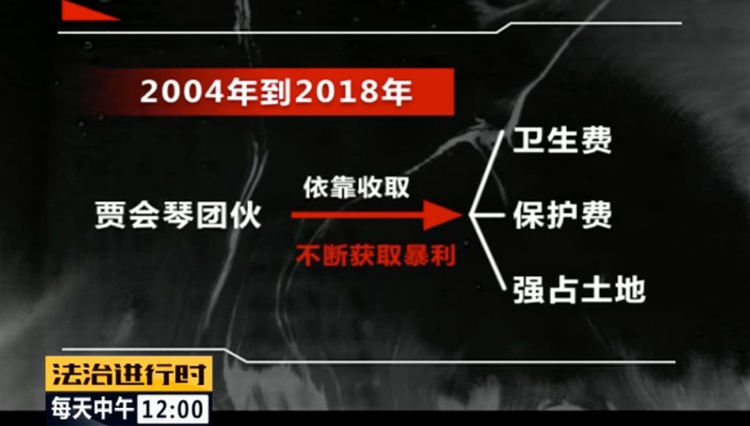 58岁“女村霸” 欺行霸市14年，获刑15年