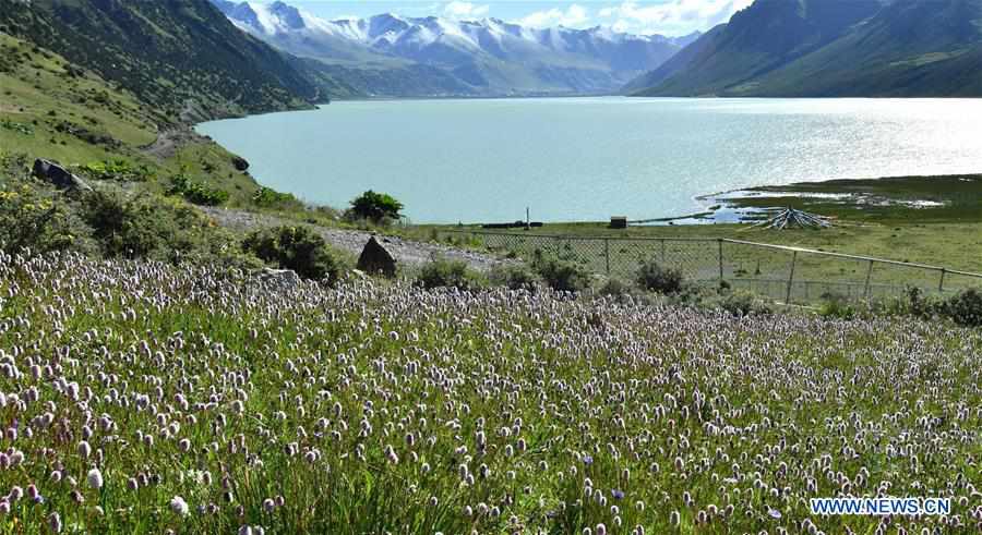 CHINA-TIBET-NAGQU-NATIONAL PARK-SCENERY (CN)