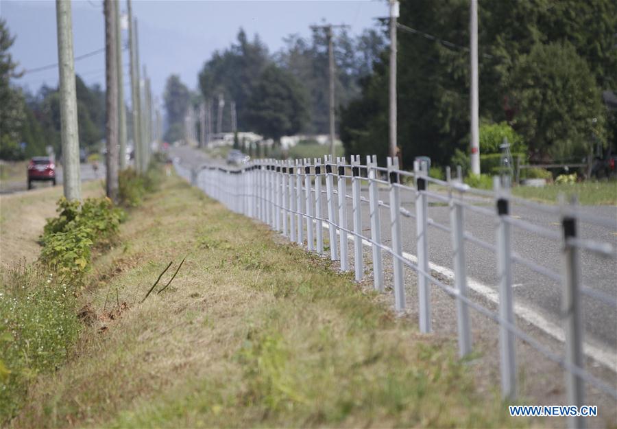  CANADA-ALDERGROVE-U.S.-BORDER-CABLE BARRIER 