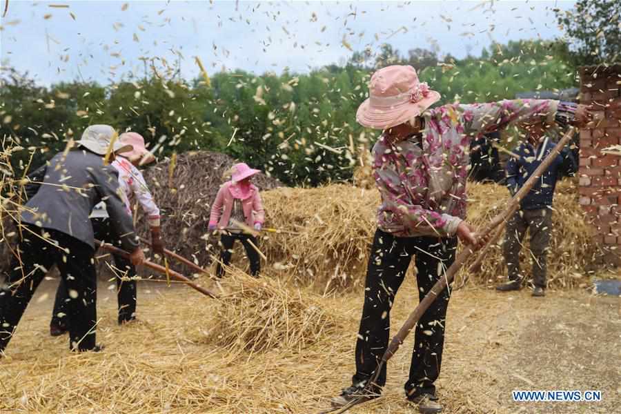CHINA-GANSU-THRESHING-WHEAT (CN)