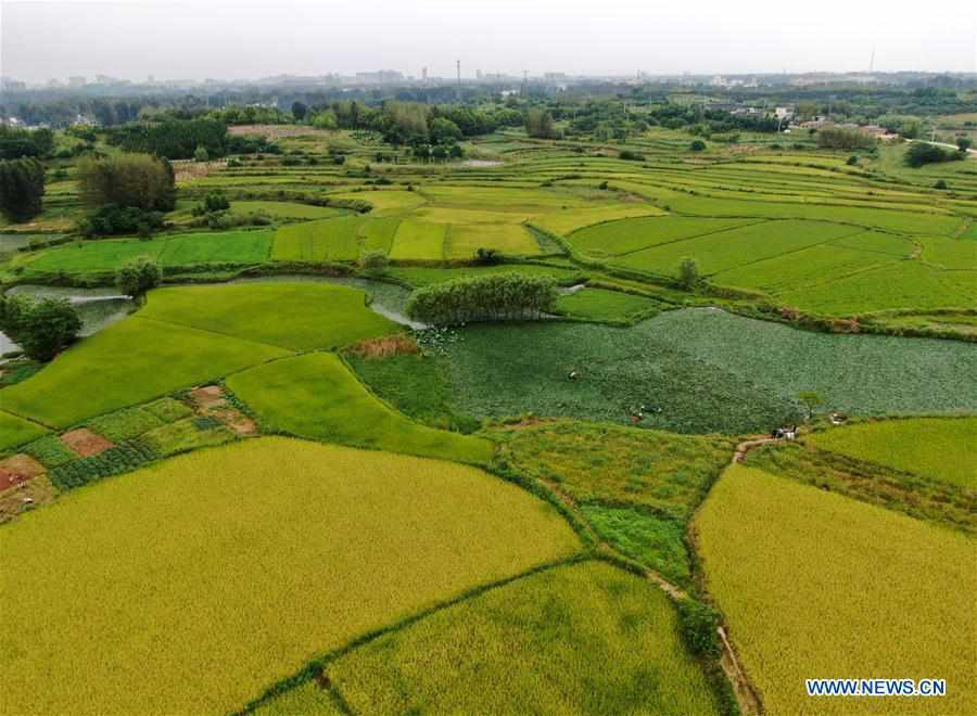 CHINA-HENAN-GUANGSHAN-SCENERY (CN)