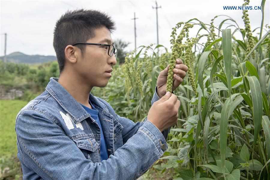 CHINA-SHANXI-AGRICULTURAL COOPERATIVE(CN)