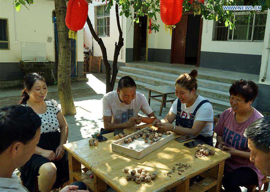 CHINA-HENAN-VILLAGE-POVERTY ALLEVIATION (CN)