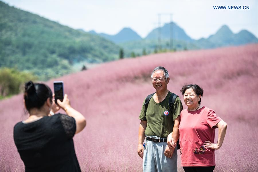 CHINA-GUIZHOU-PINK GRASS-TOURISM (CN)