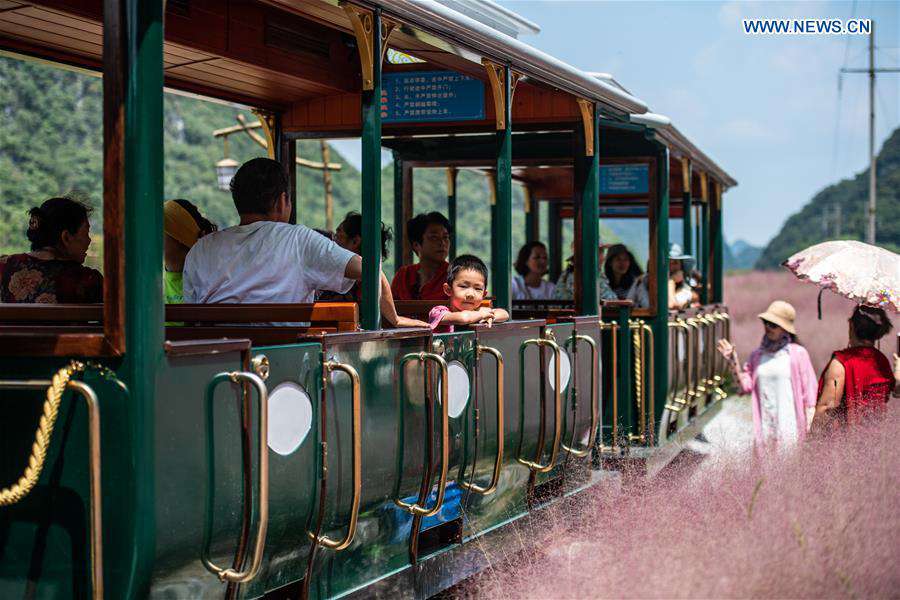 CHINA-GUIZHOU-PINK GRASS-TOURISM (CN)