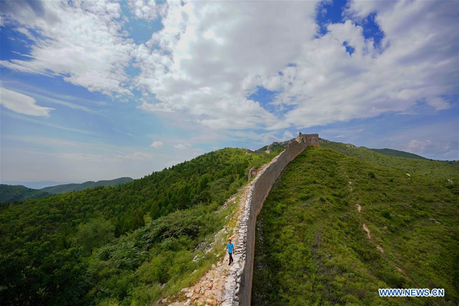 CHINA-HEBEI-QIAN'AN-GREAT WALL PROTECTOR (CN)