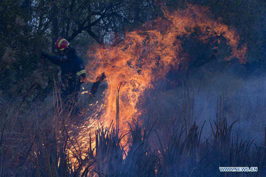 GREECE-ANAVISSOS-FIRE