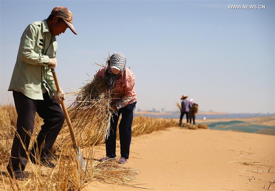 CHINA-NINGXIA-DESERTIFICATION CONTROL-HIGHWAY (CN)