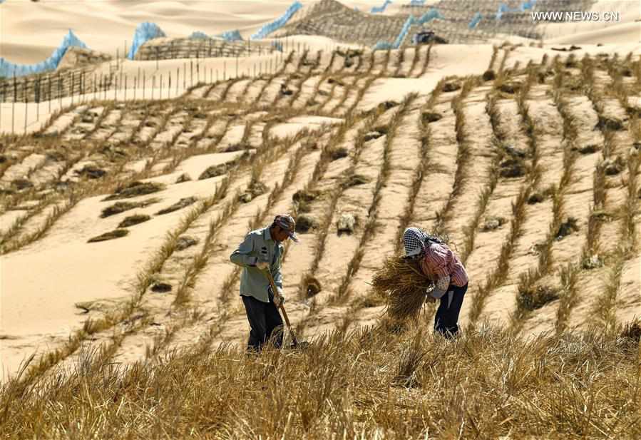 CHINA-NINGXIA-DESERTIFICATION CONTROL-HIGHWAY (CN)