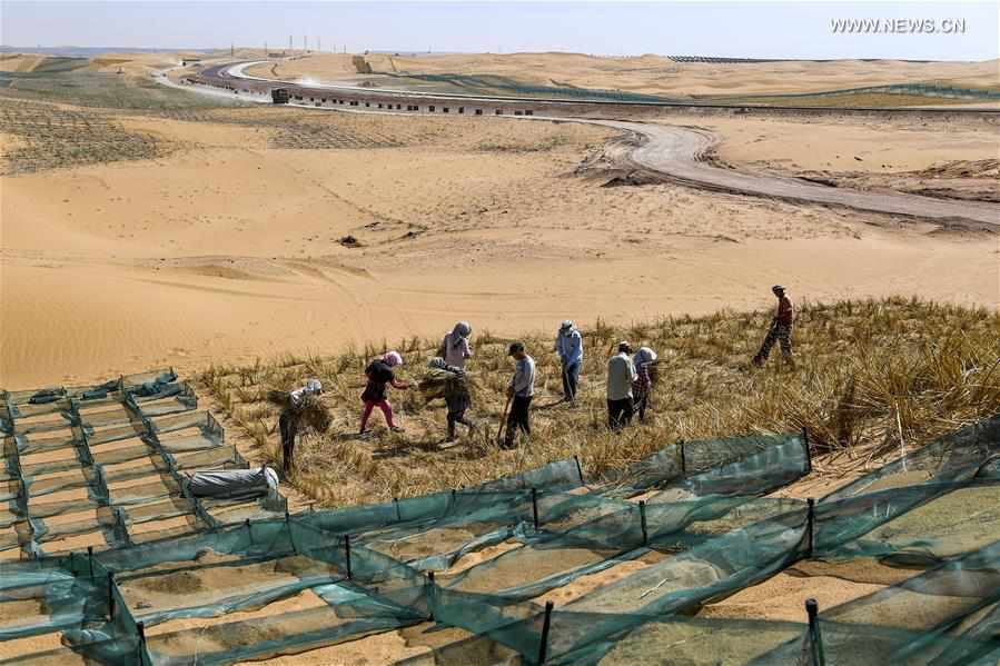 CHINA-NINGXIA-DESERTIFICATION CONTROL-HIGHWAY (CN)