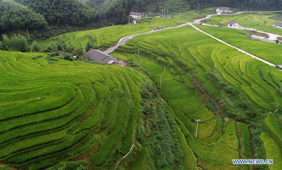 CHINA-JIANGXI-TERRACED FIELDS-SCENERY (CN)